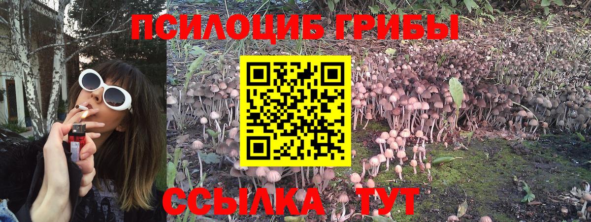 Галлюциногенные грибы GOLDEN TEACHER Урус-Мартан